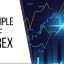 principle of forex