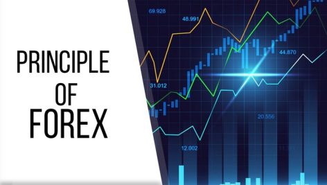 principle of forex